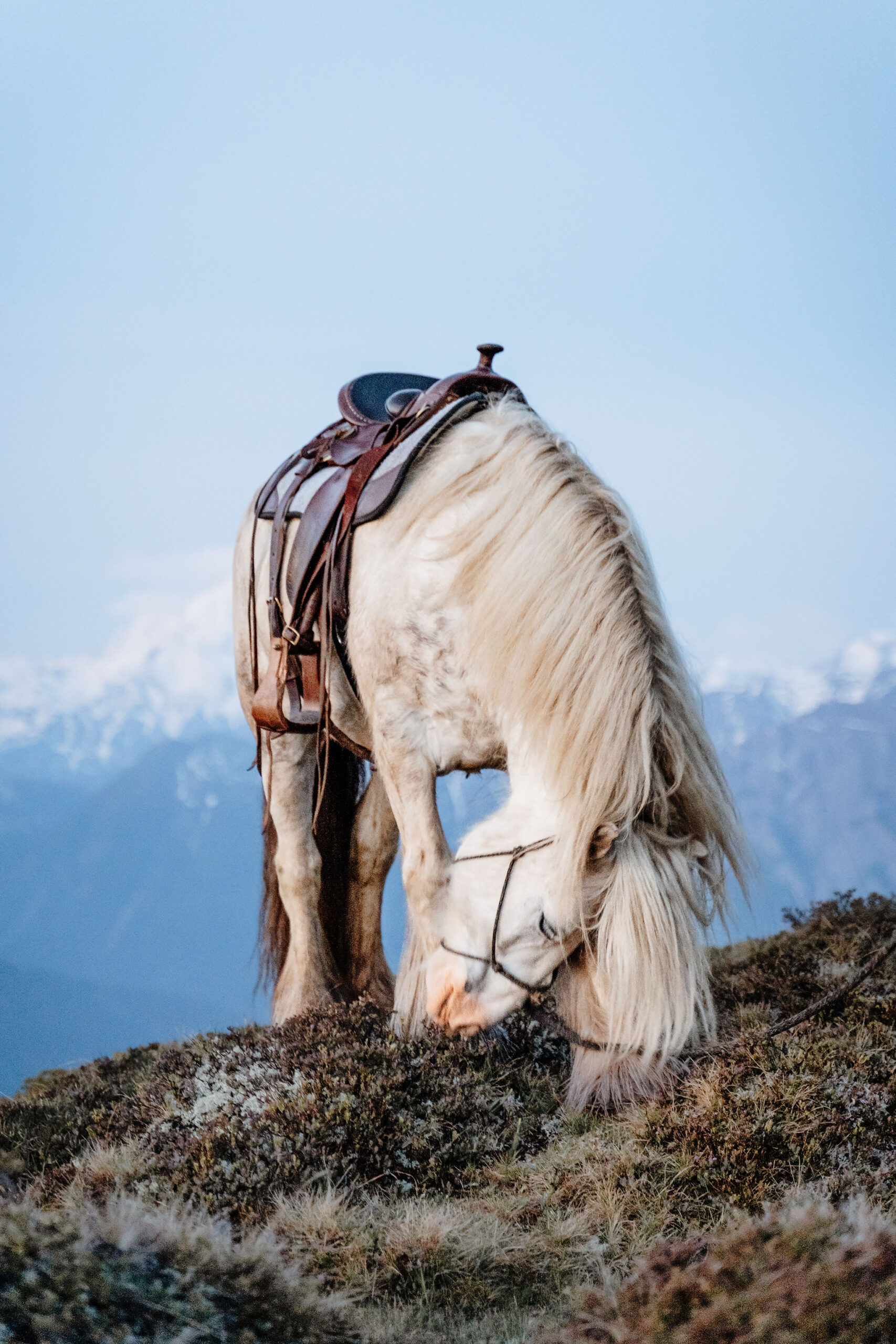 Outdoorerlebnis beim Wanderreiten